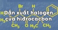 Dẫn xuất Halogen của Hidrocacbon