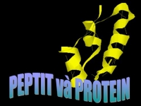 Bài tập Peptit và Protein