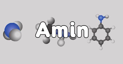 Lý thuyết về Amin