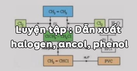 Luyện tập dẫn xuất Halogen - Ancol - Phenol
