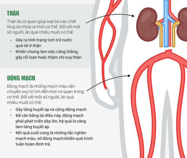 Ăn quá nhiều muối có thể gây tăng huyết áp và căng động mạch.